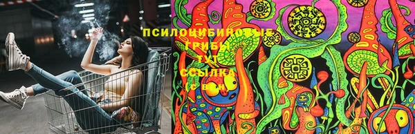 стафф Лихославль