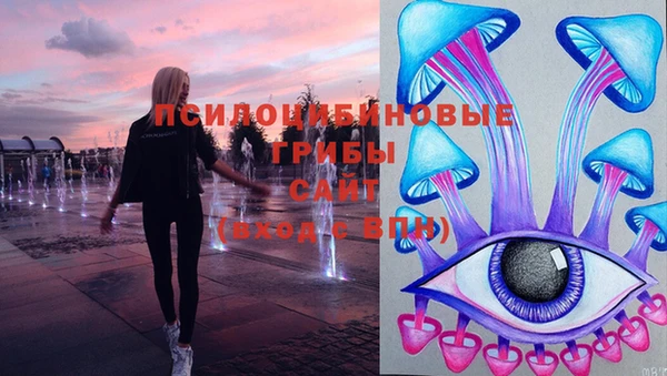 стафф Магадан