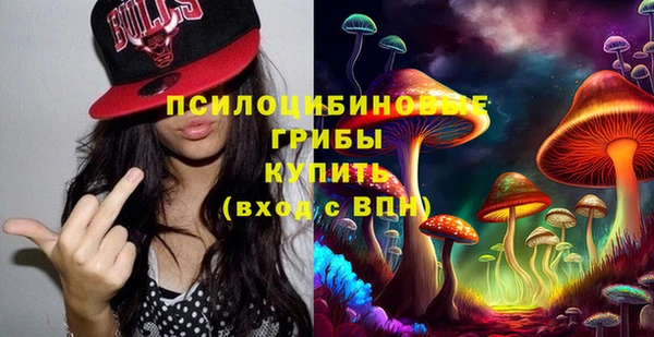 стафф Магадан