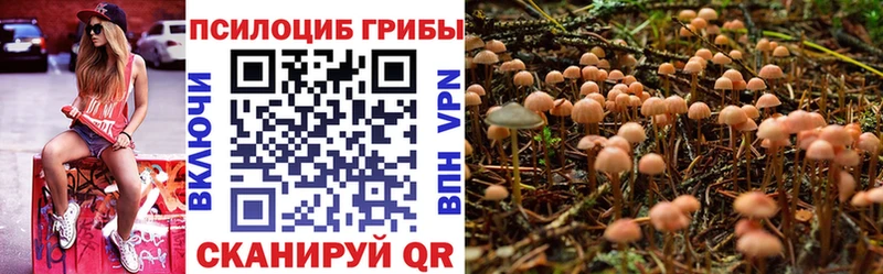 Галлюциногенные грибы прущие грибы  Купить где  Иланский 