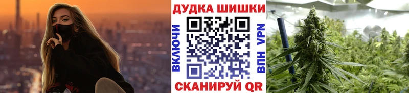 Бошки Шишки семена  Купить где  Иланский 